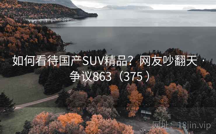 如何看待国产SUV精品？网友吵翻天 · 争议863（375 ）